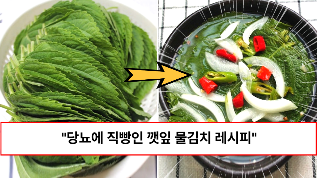 “맛있게 먹으면서 혈당관리 하세요” 혈당 잡는 식사로 유명한 깻잎 물김치 레시피