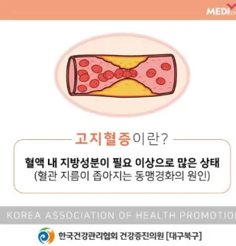 총콜레스테롤 이란 정상수치 낮추는법_15