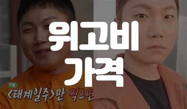 위고비 가격