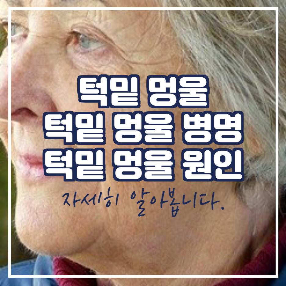  턱밑 멍울 몽우리 통증 부음 원인
