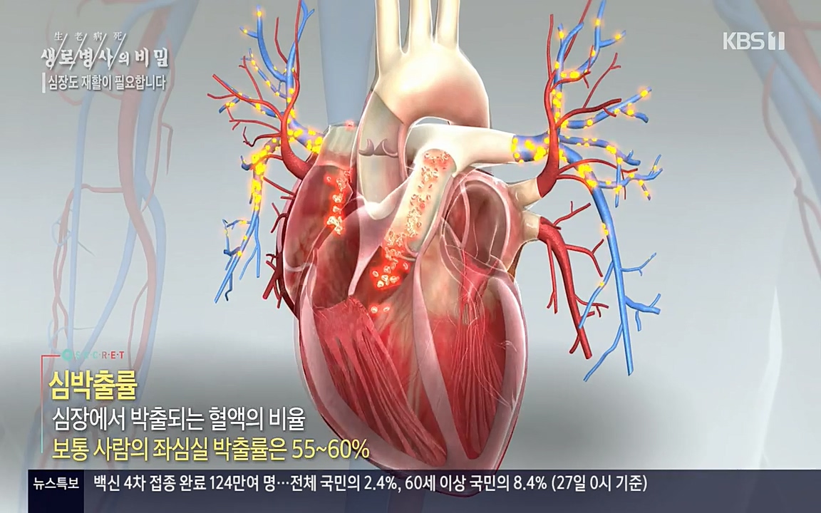 생로병사의 비밀.E820.220428p-NEXT.mp4_20220501_190353.033.jpg