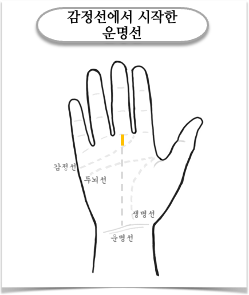 감정선 부근에서 시작하는 운명선