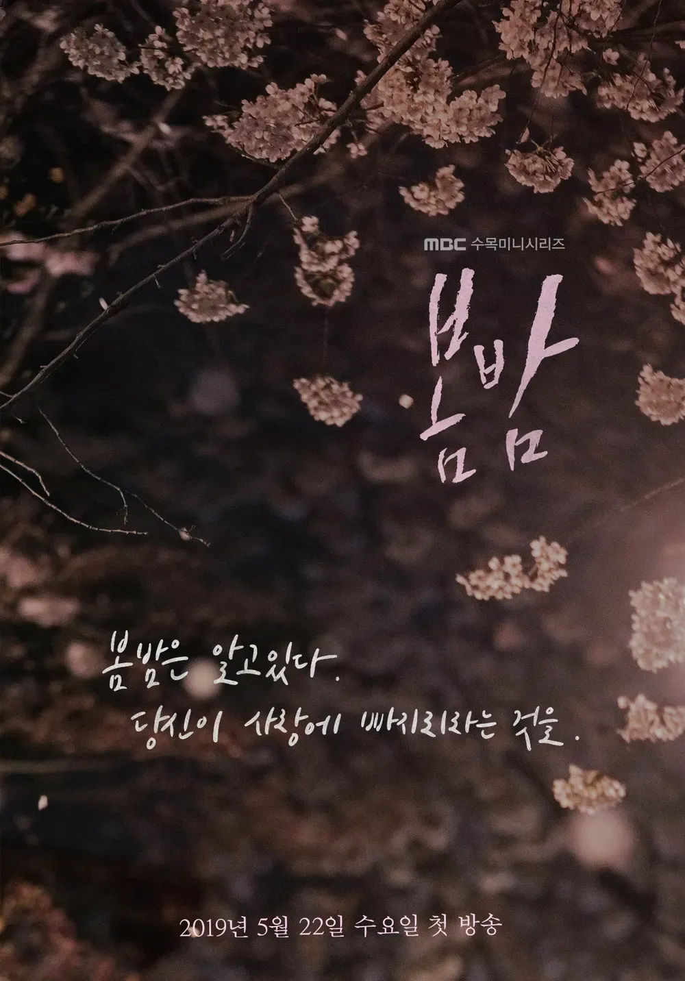 봄밤 이미지
