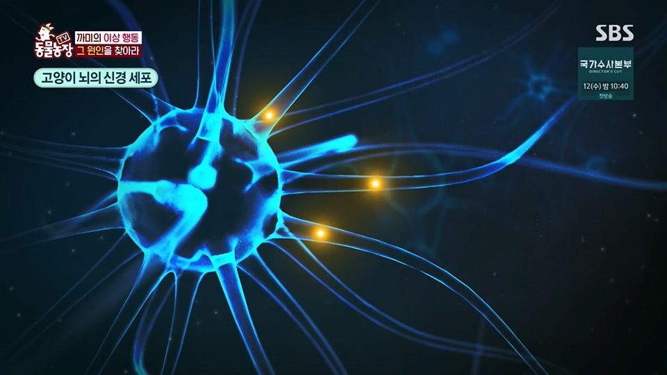 TV 동물농장.E1128.230709p.H264-F1RST.mp4_20230709_183553.289.jpg