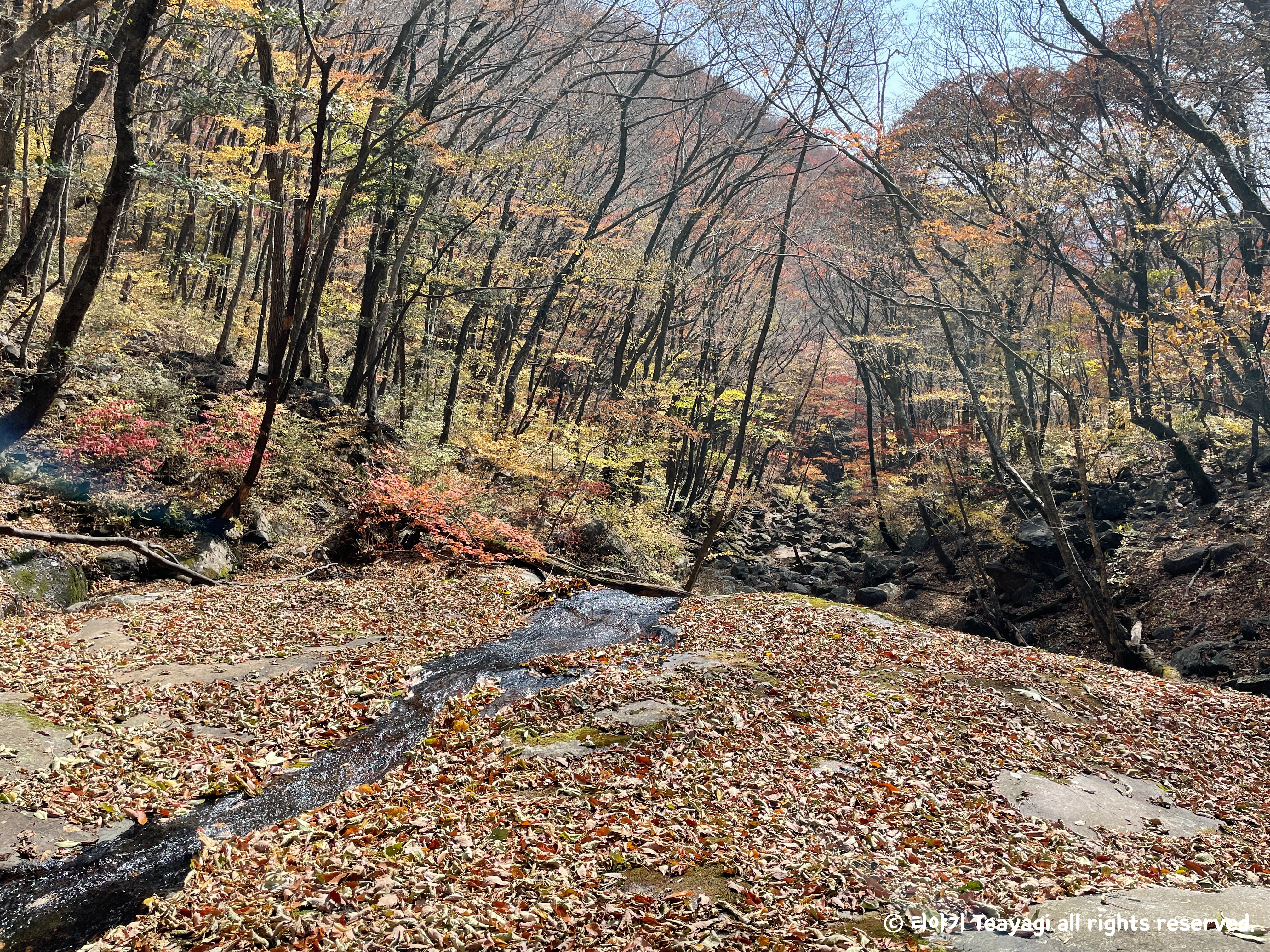 화엄사-지리산-등산코스-산책로-16