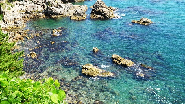 제주도 항공권
