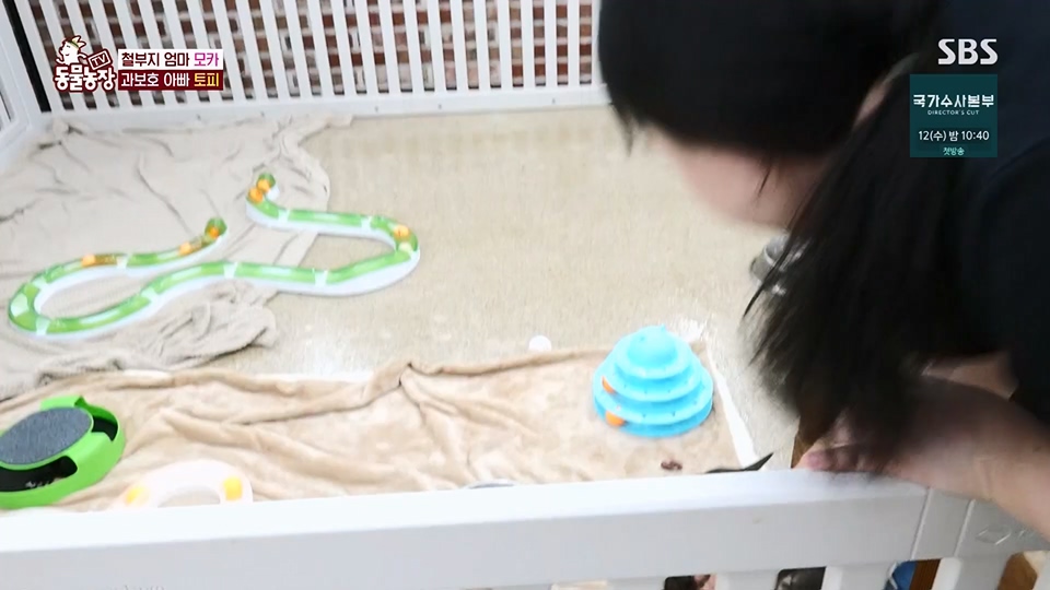 TV 동물농장.E1128.230709p.H264-F1RST.mp4_20230709_183606.642.jpg