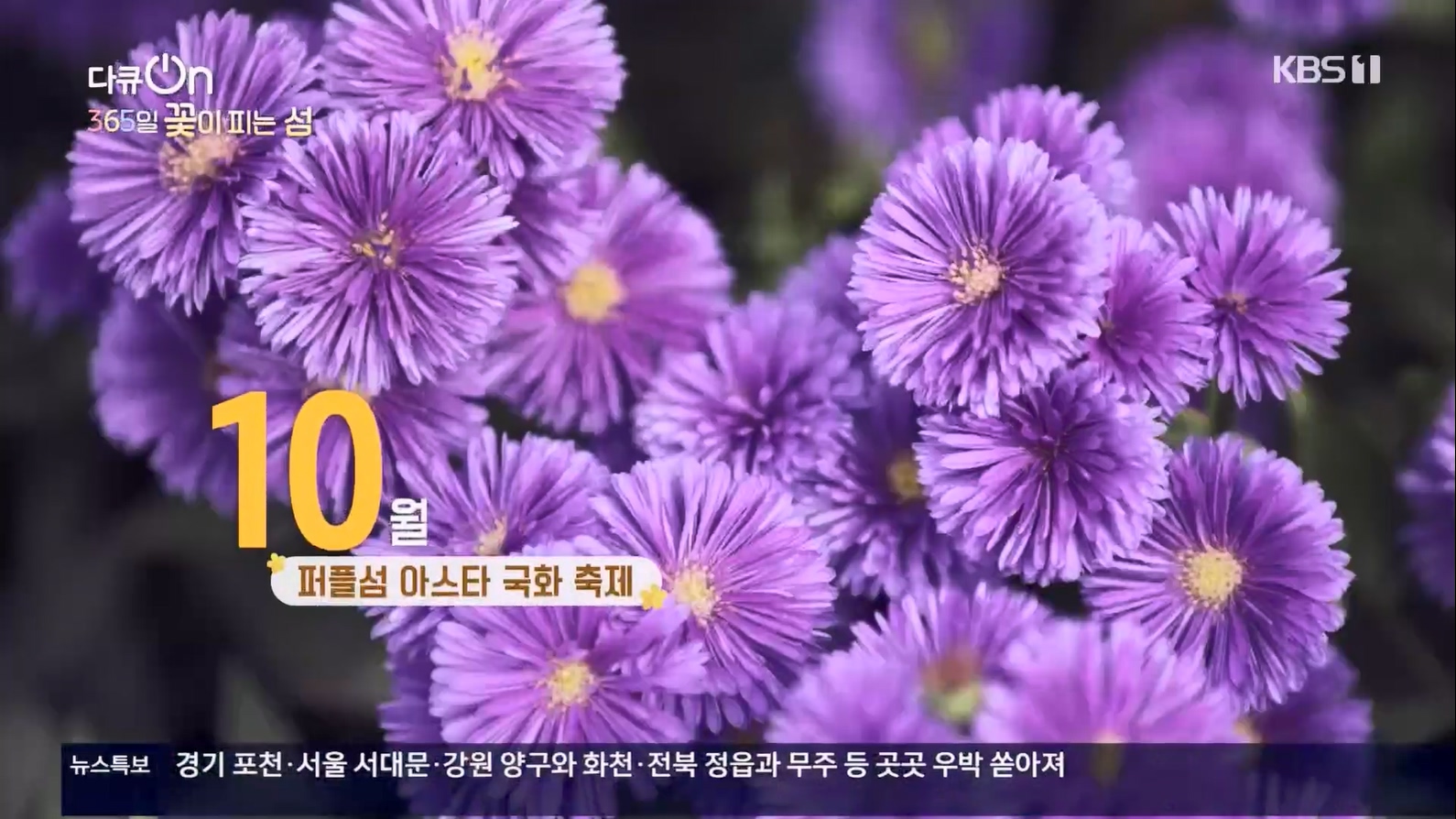 다큐 On.E201.230610p.H264-F1RST.mp4_20230611_164714.334.jpg