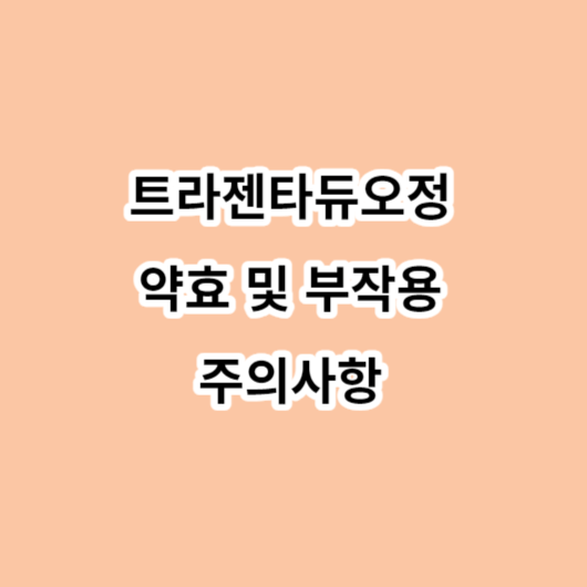 트라젠타듀오정 약효