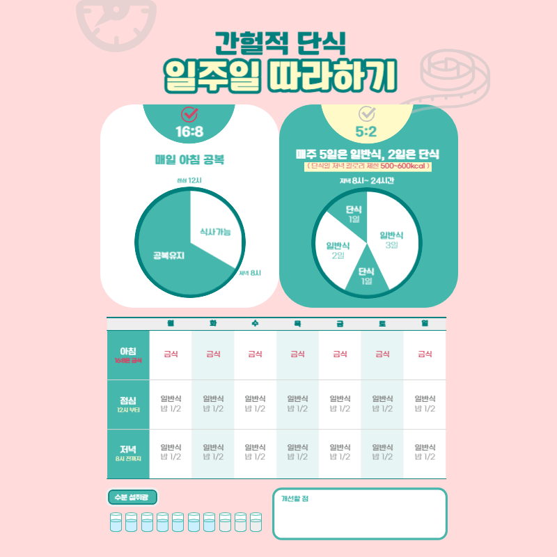 간헐적단식1주일계획표