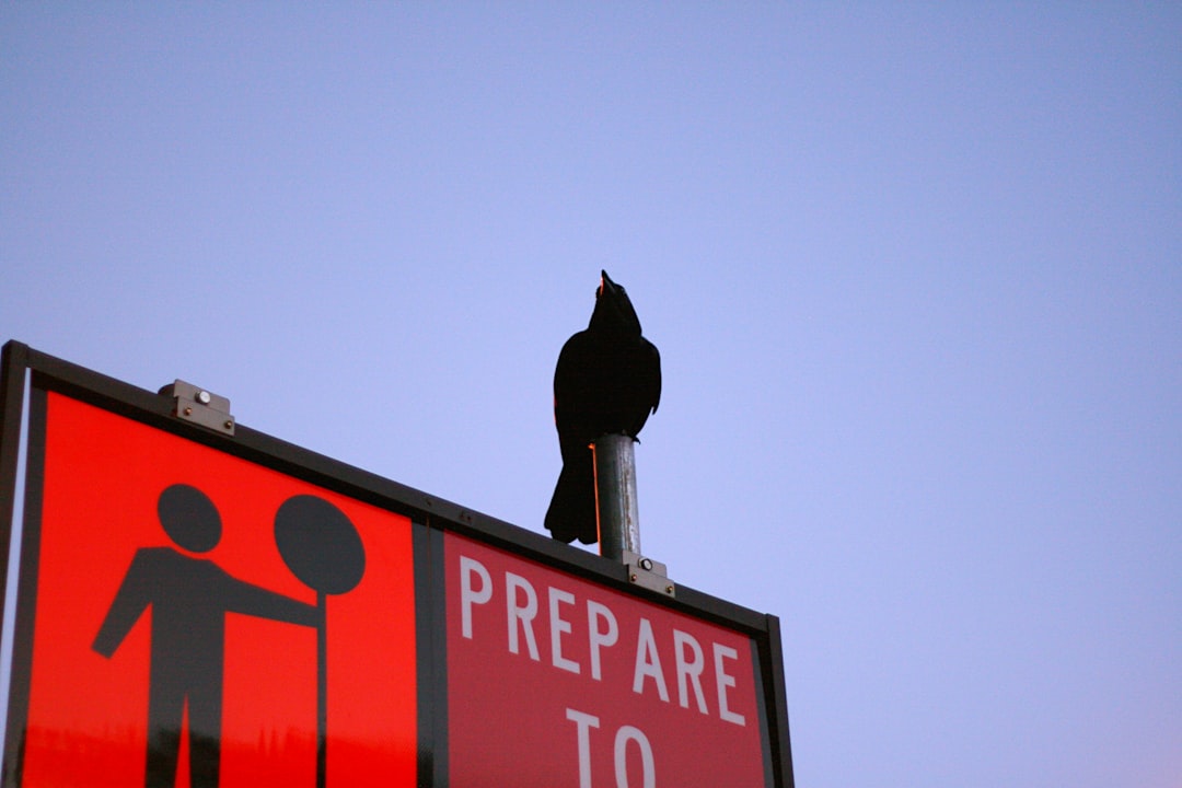 precautions