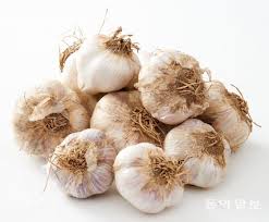 마늘의 효능