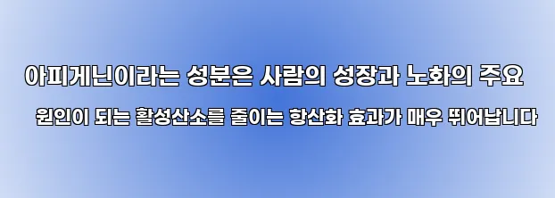  아피게닌이라는 성분은 사람의 성장과 노화의 주요 원인이 되는 활성산소를 줄이는 항산화 효과가 매우 뛰어납니다