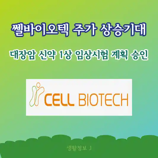 쎌바이오텍 주가 상승 기대! 대장암 신약 1상 임상시험 계획 승인