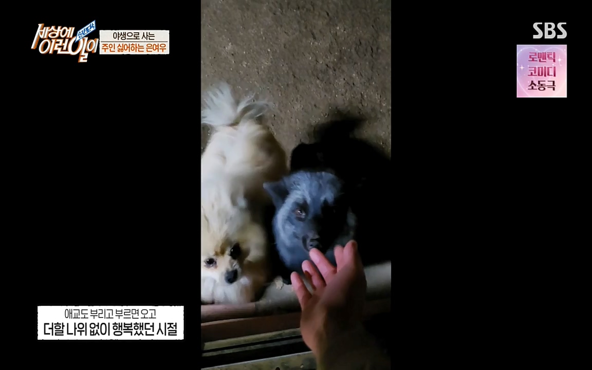 순간포착 세상에 이런일이.E1179.220511p-NEXT.mp4_20220511_175827.121.jpg