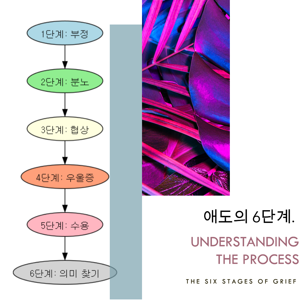 애도의 6단계.