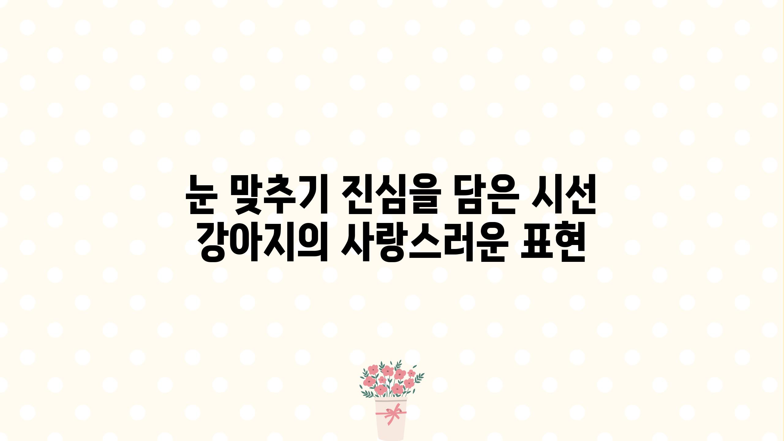 눈 맞추기 진심을 담은 시선 강아지의 사랑스러운 표현