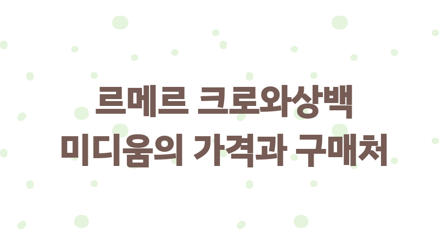 르메르 크로와상백 미디움? 200만원 가치 있을까? - 르메르 크로와상백 미디움의 가격과 구매처 르메르 크로와상백 미디움? 200만원 가치 있을까? - 르메르 크로와상백 미디움의 가격과 구매처