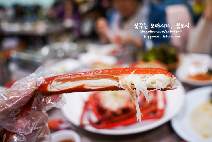 속초수협 순희네횟집 9