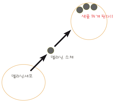  뺨에 기미가 생겼어요