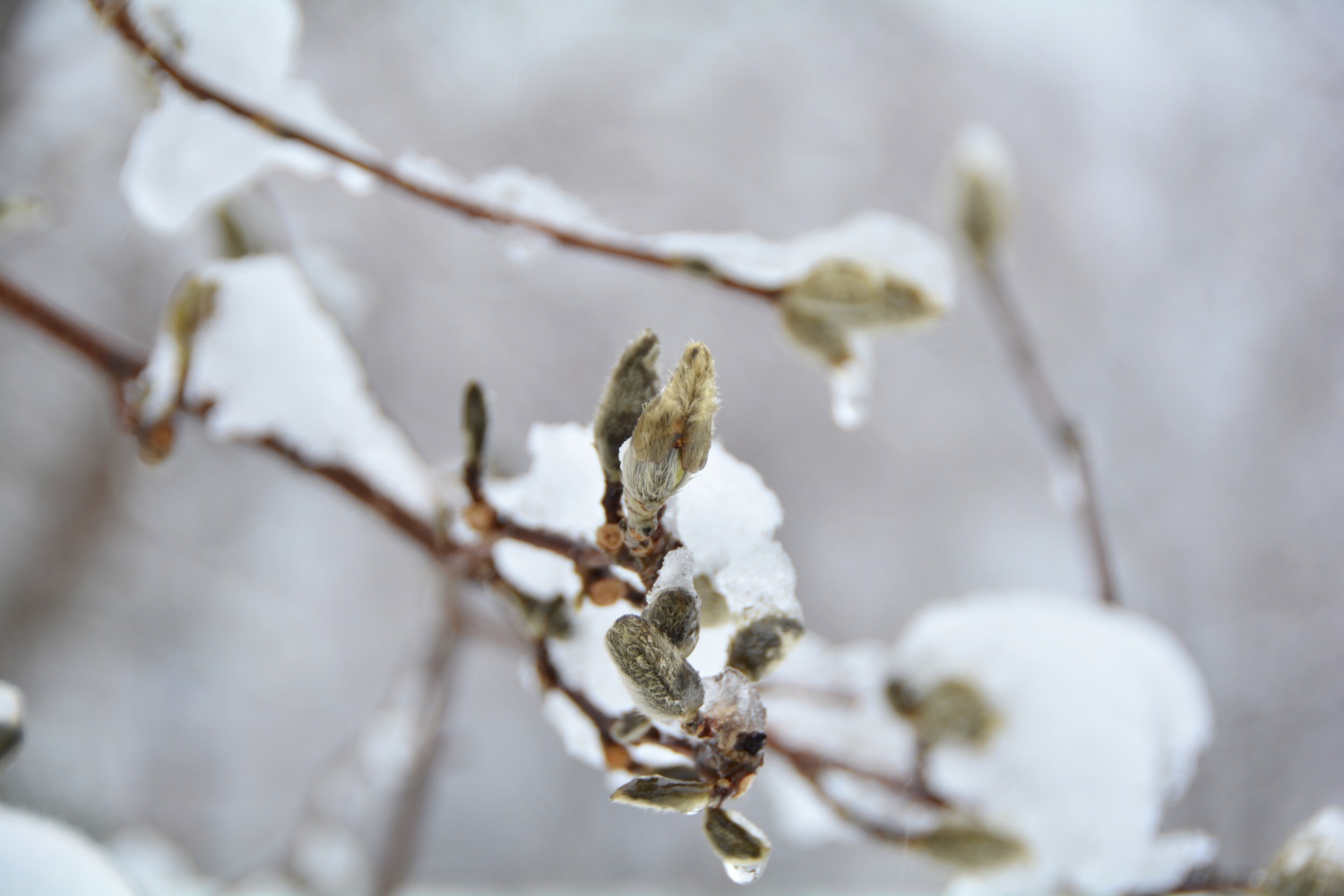 닿을 수 없다... 1