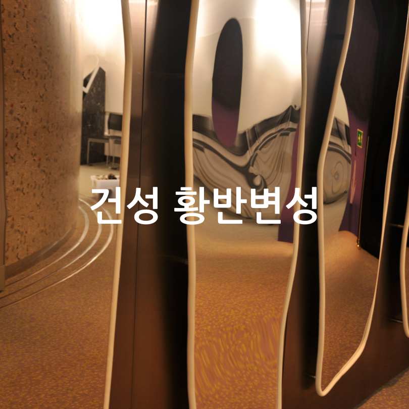 황반변성 자가진단&amp;#44; 치료법&amp;#44; 주사치료 가격
