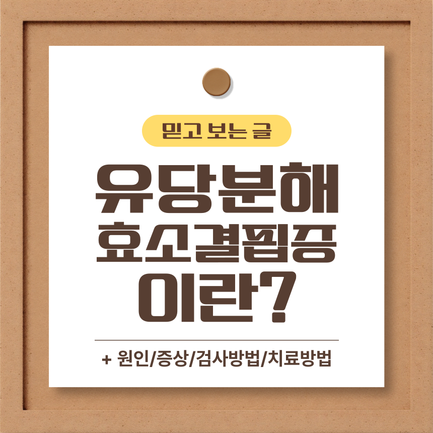  유당분해효소 결핍증 이란?