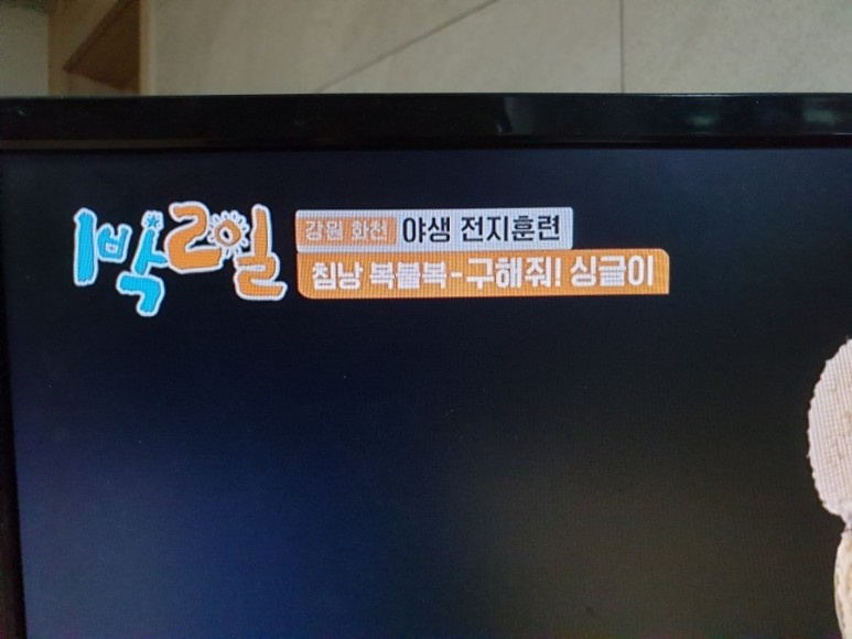 싱글이 구하기 침낭확보 2021년3월14일 6시30분 본방 다시보기 로 만든 1박2일 시즌4 방송나왔어요 kbs2tv 강원 화천 자연의맛 야생전지훈련촬영 21