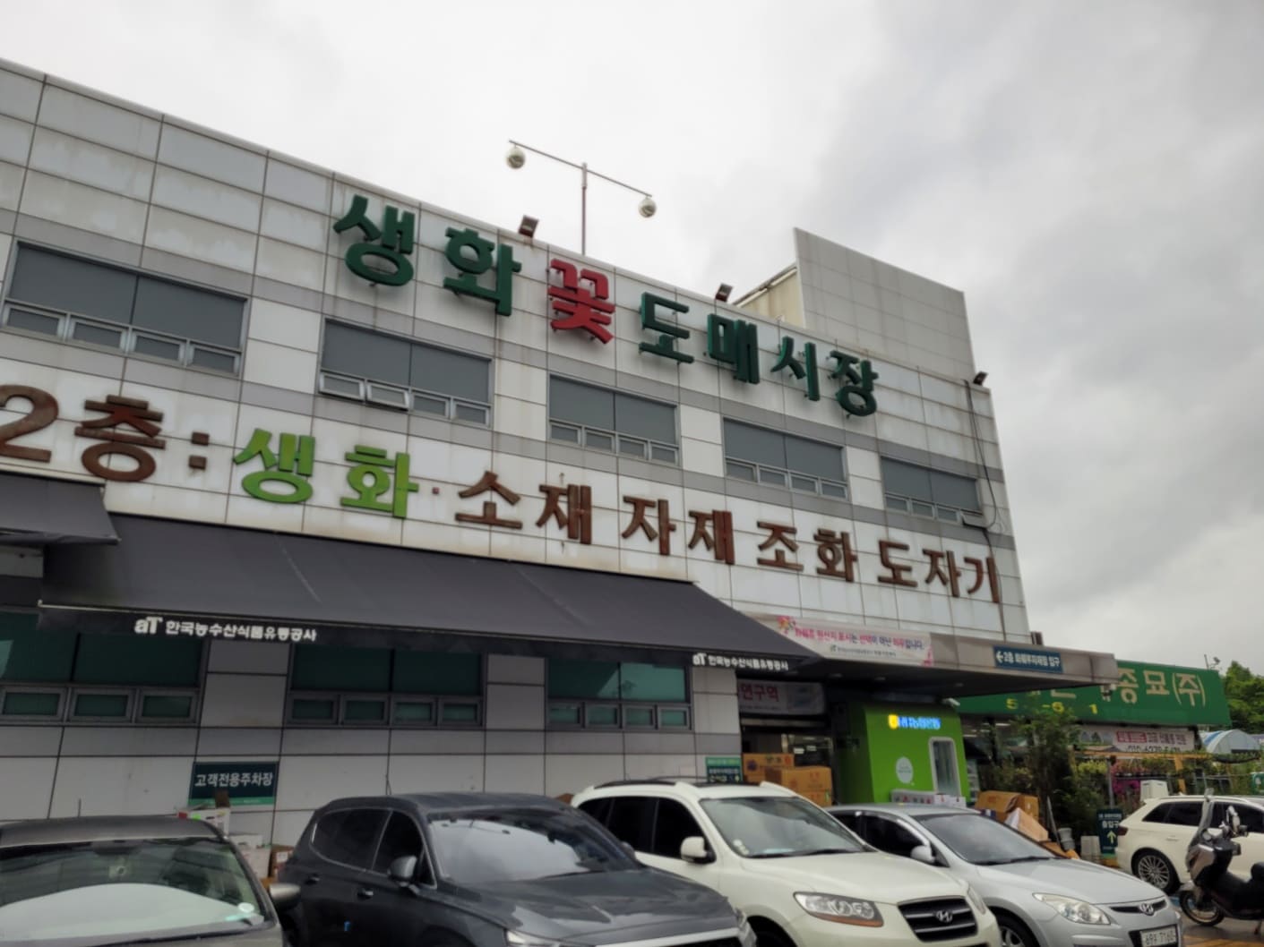  양재 꽃 시장 화훼단지 운영시간 주차요금 / 꽃다발 만들어서 선물하자!