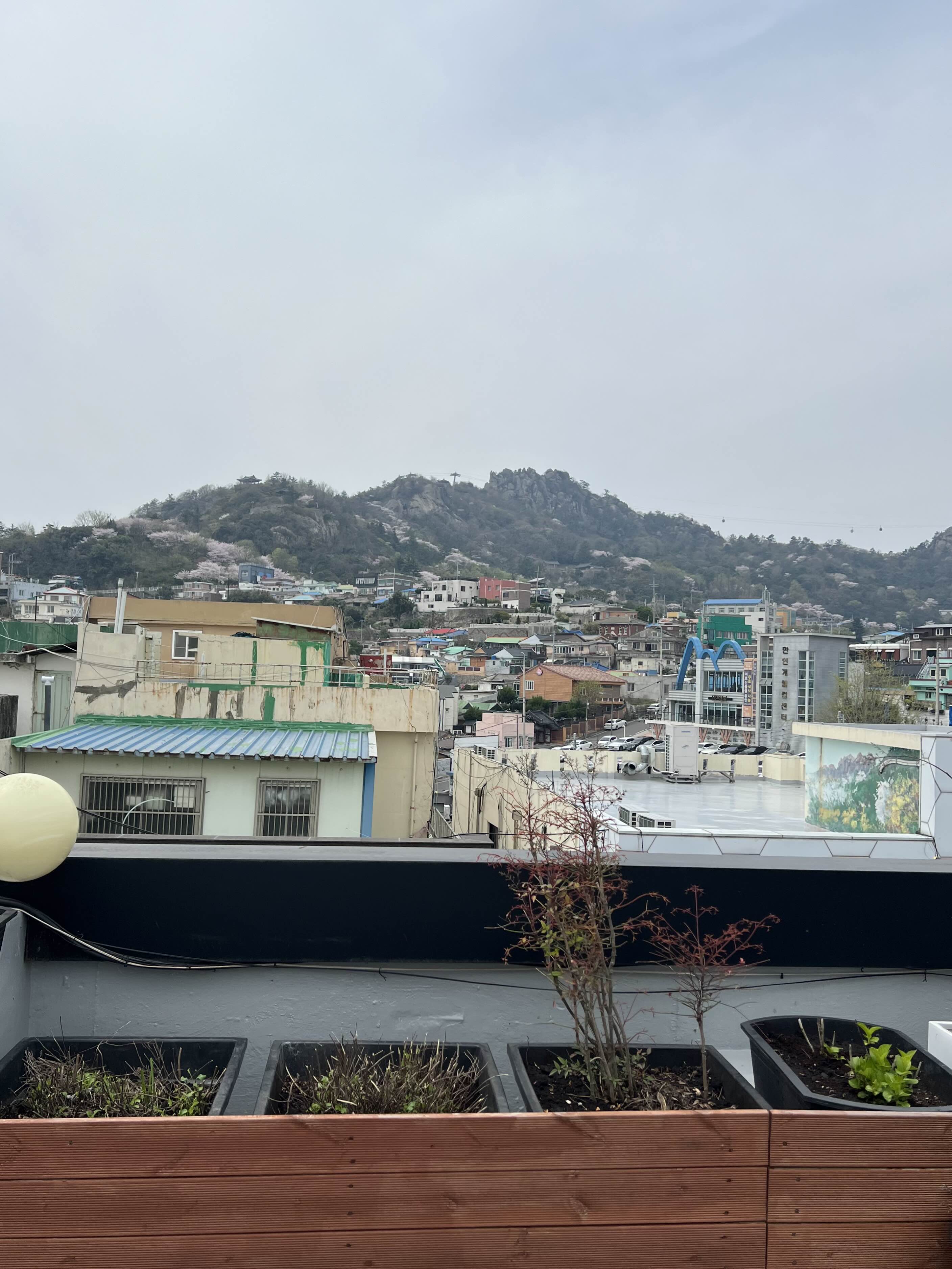 카페케이 이미지