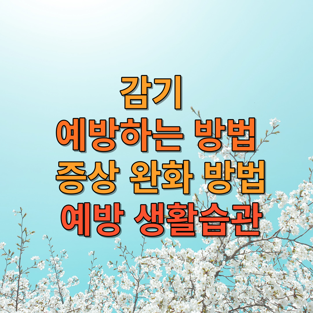 감기를 예방하는 방법&#44; 증상 완화 방법&#44; 예방 생활습관