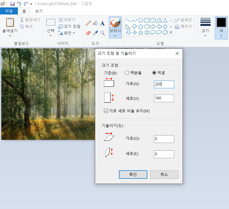픽셀 크기 조절