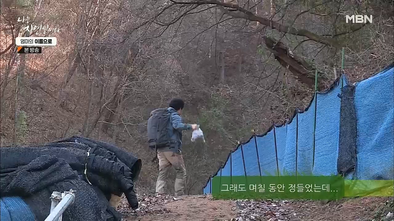 나는 자연인이다.E531.221208p.H264-F1RST.mp4_20221208_204249.373.jpg