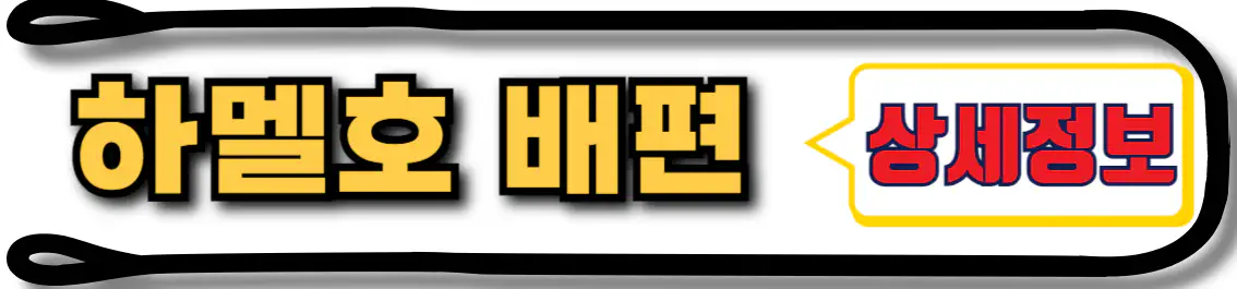 여수 거문도 하멜호 배편 정보