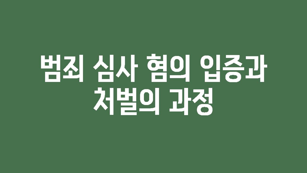 범죄 심사 혐의 입증과 처벌의 과정