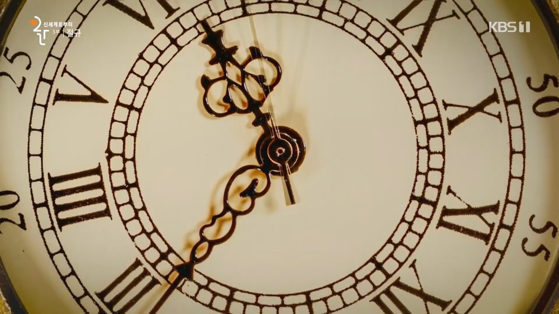 다큐 인사이트.E172.231123p.H264-F1RST.mp4_20231124_213016.366.jpg