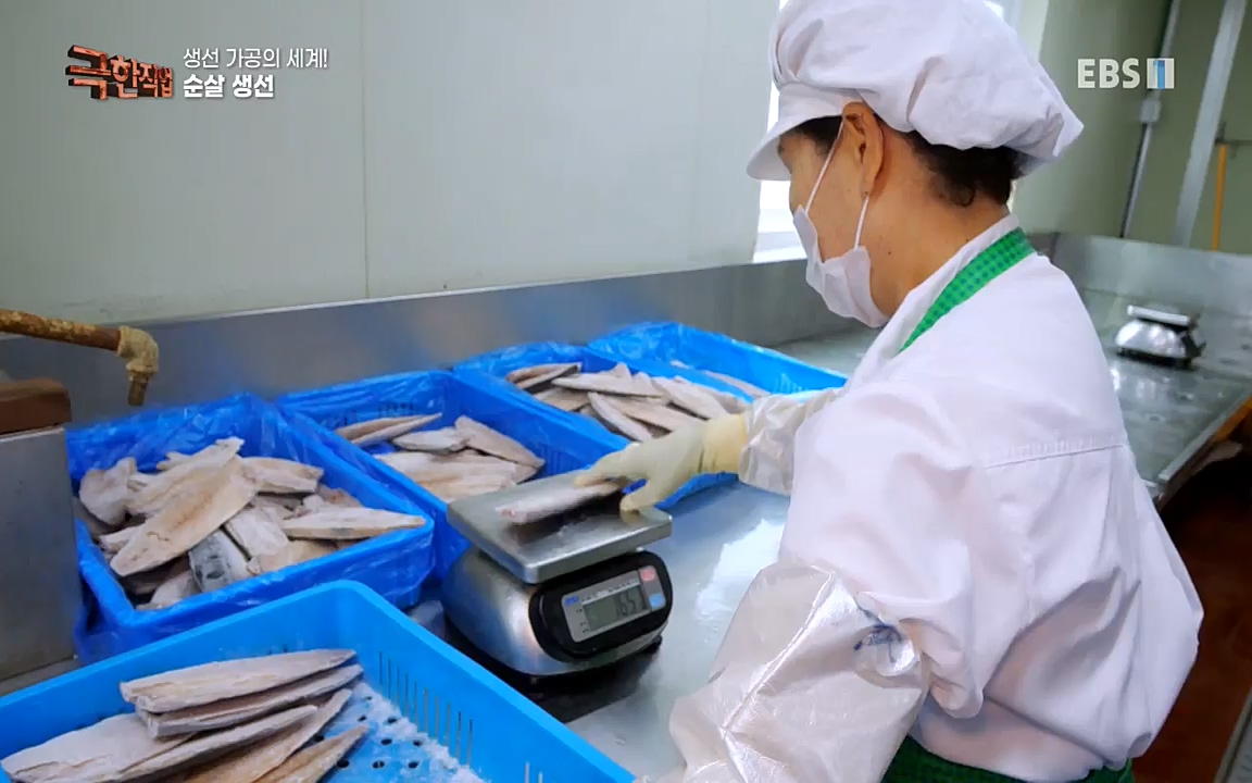 TV - 교육의 중심 EBS생선가공의 세계!-냉동참치, 참치액. 순살생선-.mp4_20220906_201945.994.jpg