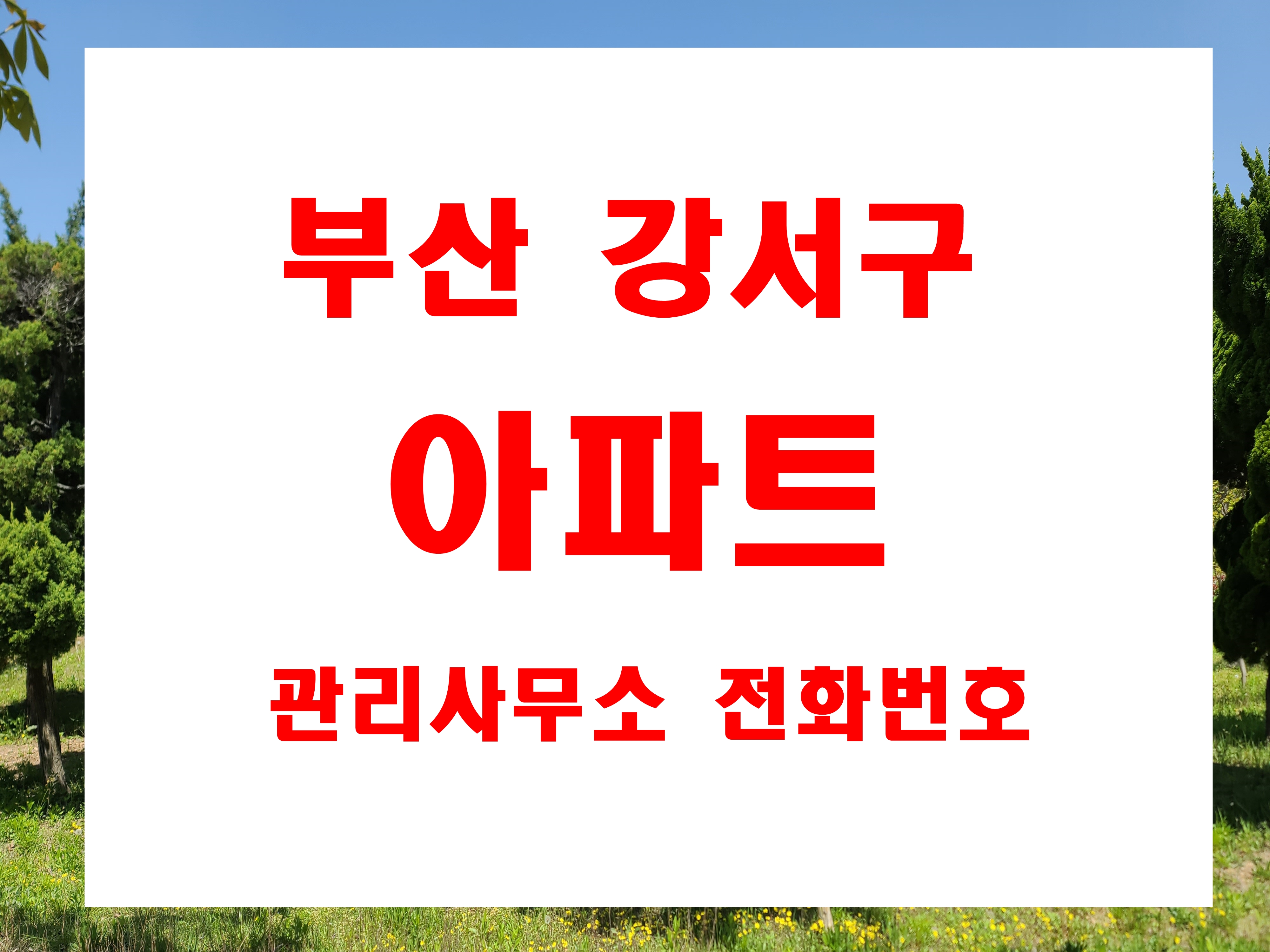  부산 강서구 아파트 관리사무소 전화번호 명지동 녹산동 강동동 대저동 신호동 명지국제신도시 주소 정보