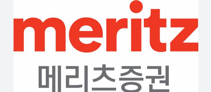  메리츠금융지주 주가, 전망, 배당금, 목표주가, 실적, 유상증자 분석하기