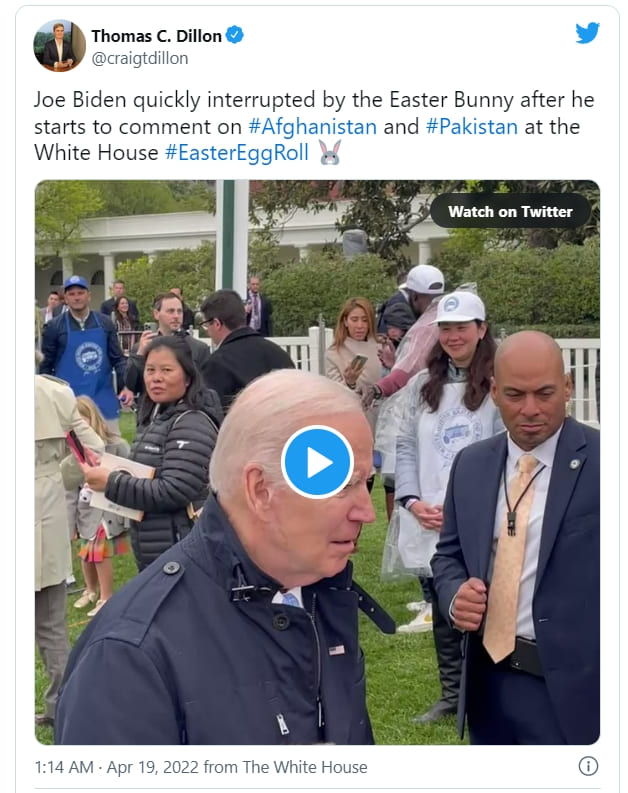 바이든을 혼란스럽게 하는 백악관 토끼 VIDEO: Bunny Distracts Confused President Biden at White House