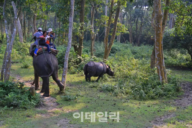 네팔 치트완 국립공원 여행 코스 트래킹_6