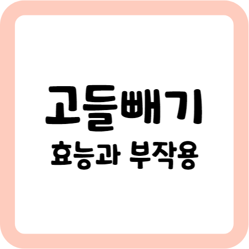 고들빼기의 효능과 부작용