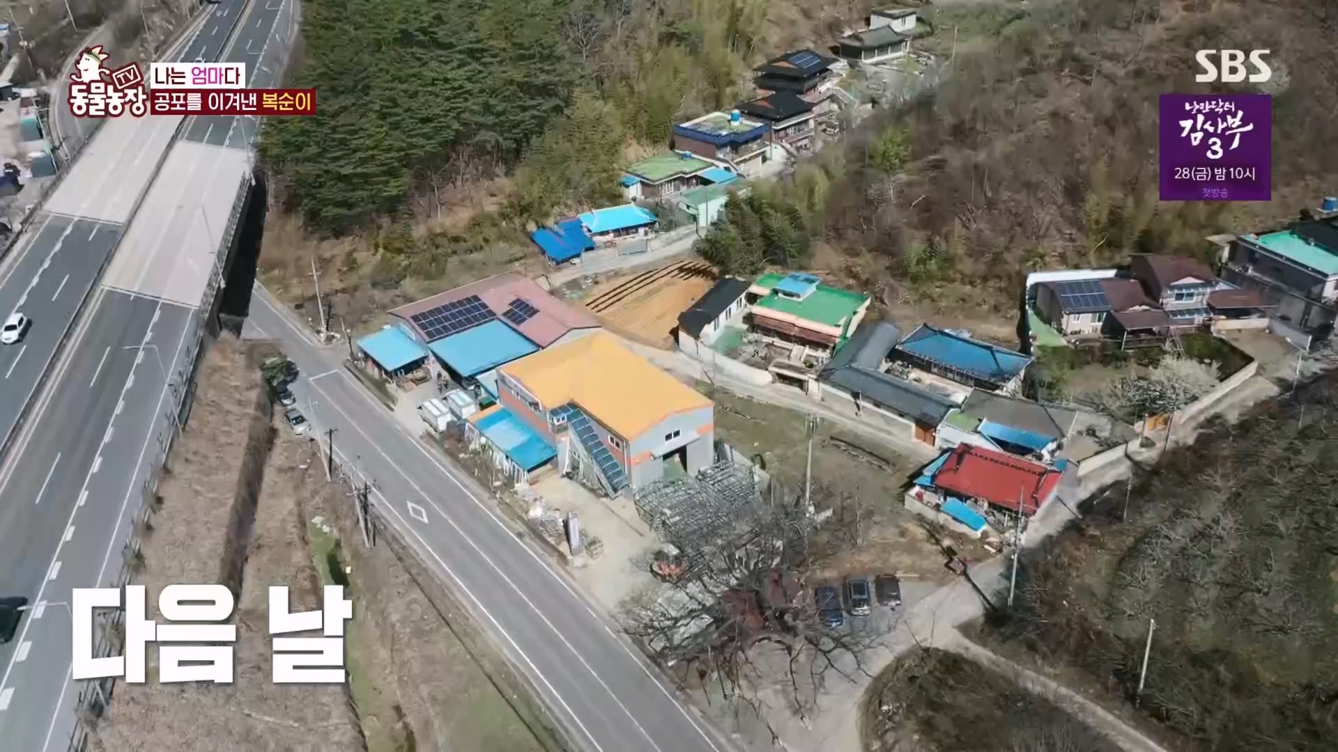 TV 동물농장.E1118.230423p.H264-F1RST.mp4_20230423_181112.957.jpg