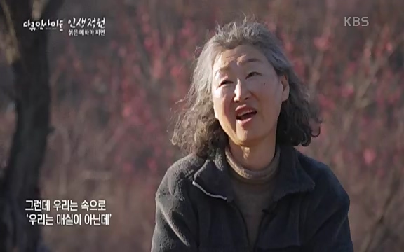 다큐 인사이트 - KBS인생정원 - 붉은 매화가 피면] 봄이면 가장 먼저, 그리고 가장 붉게 피어나는 강인한 소성의 매화.ts_20220818_205149.202.jpg