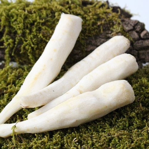 정선 더덕농원 이미지