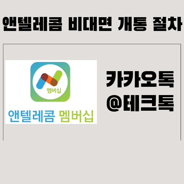  KT 앤텔레콤 셀프개통 순서와 방법 ( 다이소 선불유심 )