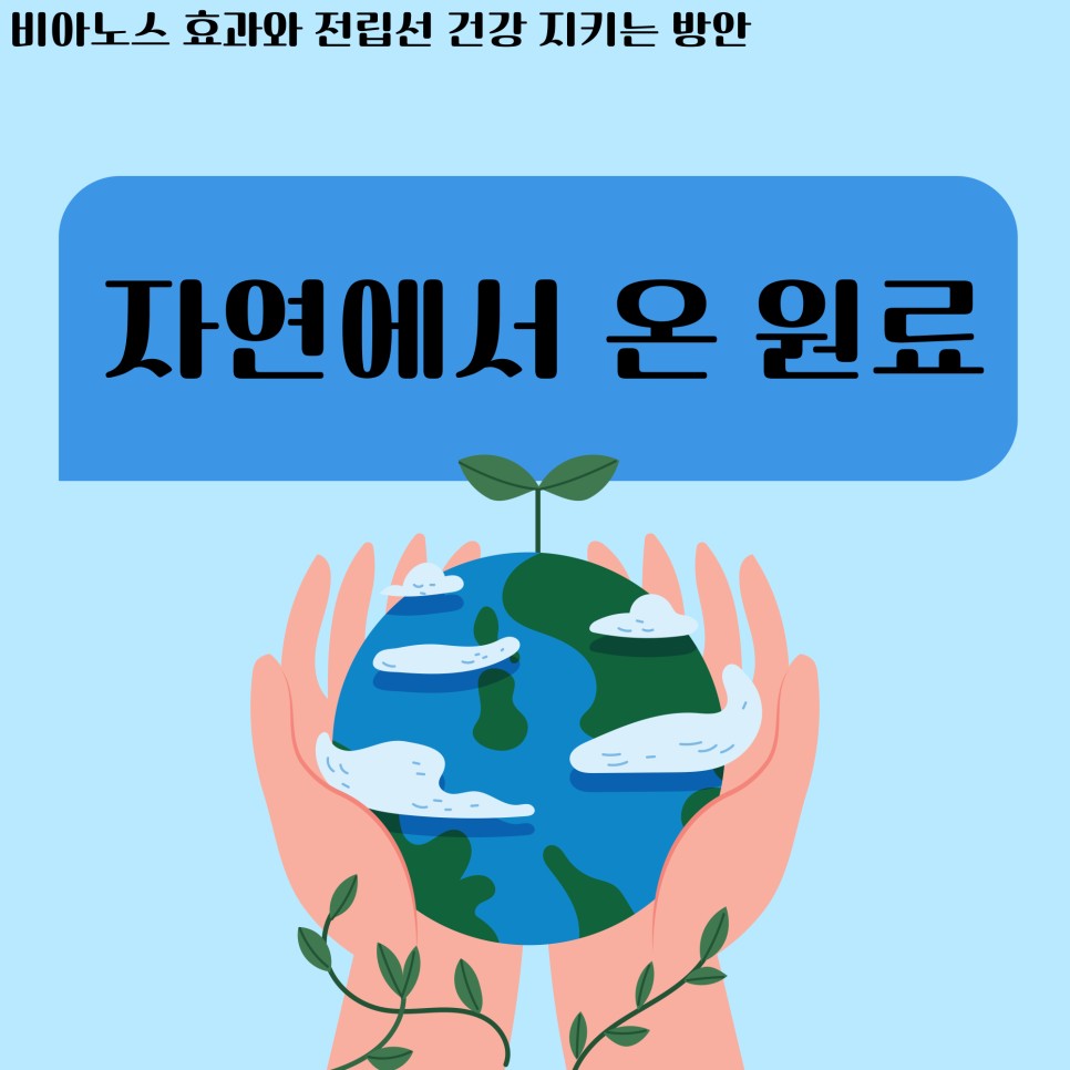 건강 지키는 방안 비아노스 효과와 전립선 3