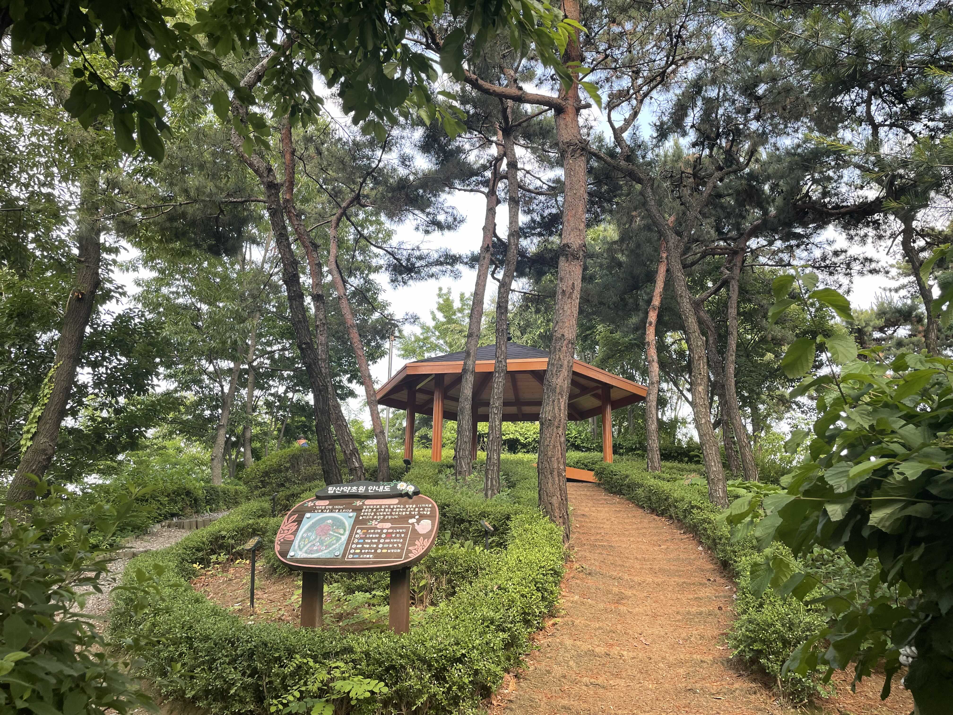  [서울 강서구] 탑산(탑산약초원)