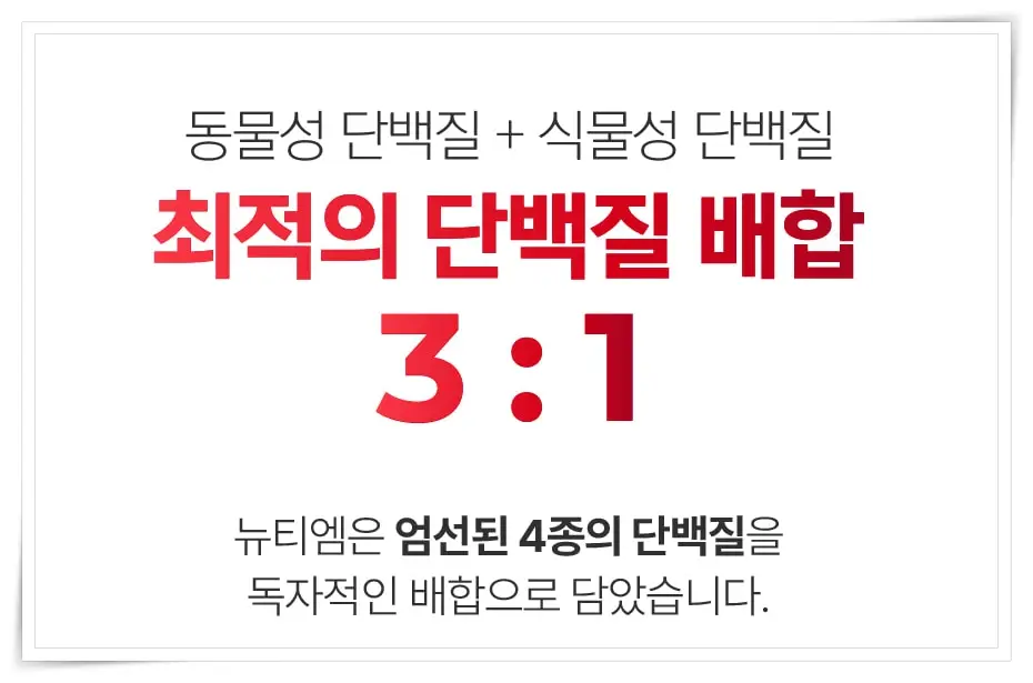 뉴티365 뉴티엠 식물성, 동물성 배합 단백질