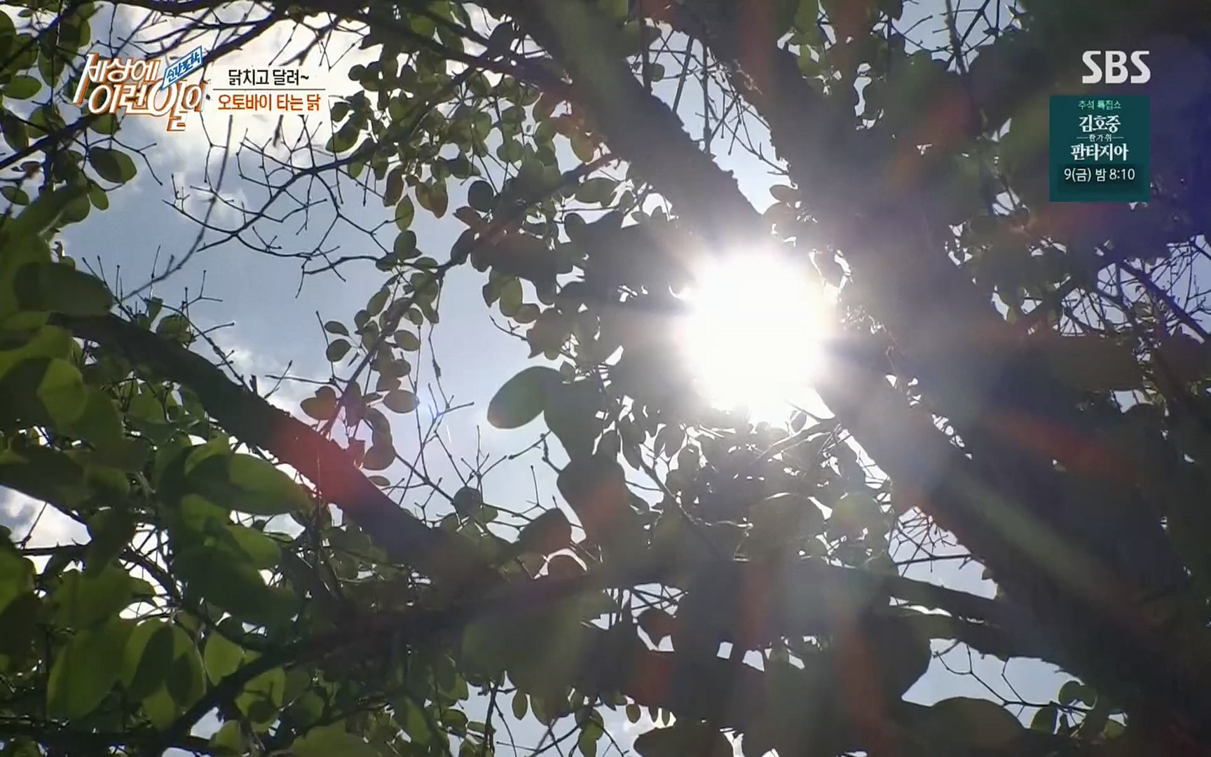 순간포착 세상에 이런일이.E1196.220906p.H264-F1RST.mp4_20220907_203323.312.jpg